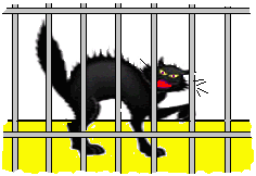 Gatto in gabbia