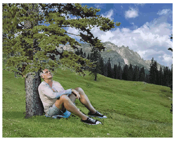 Sotto ai rami dell'abete