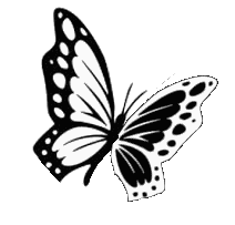 Farfalla VitaMorte